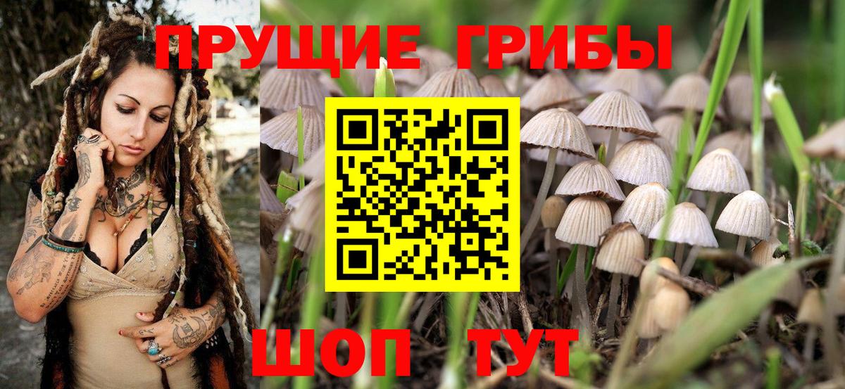 Псилоцибиновые грибы Magic Shrooms Белебей